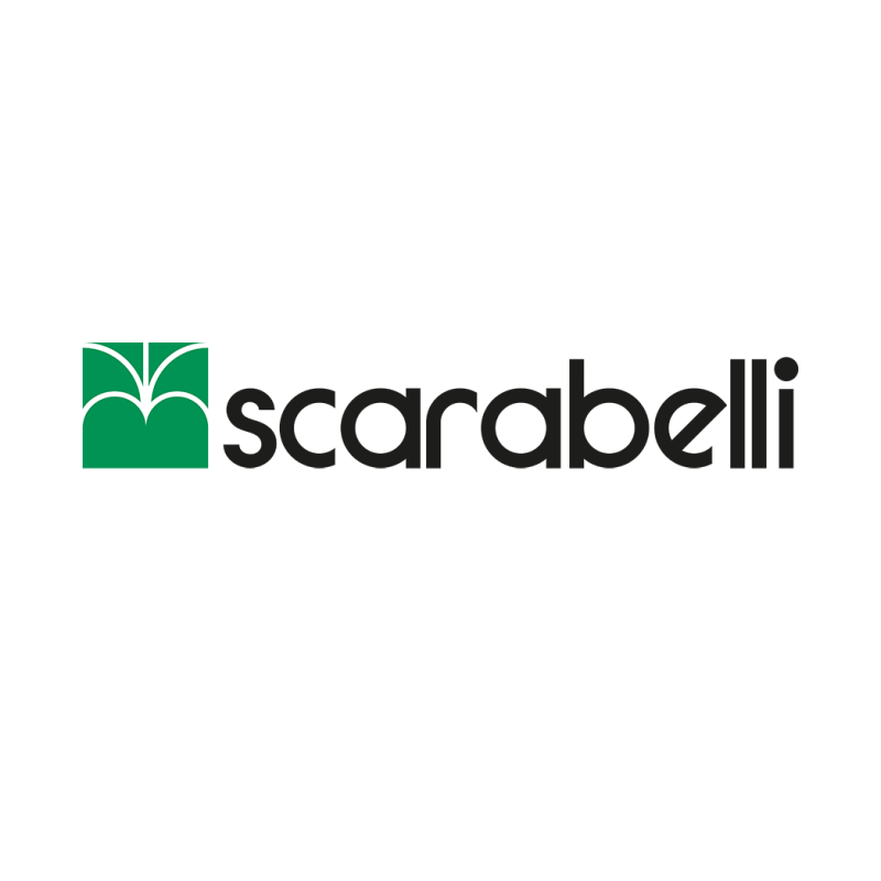 Logo Scarabelli