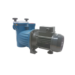 Pompe de piscine Prima 100 M - Pedrollo