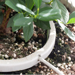 Netbow – Netafim – 12 cm