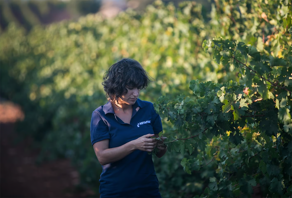 L’irrigation de précision au service de l’économie d’eau