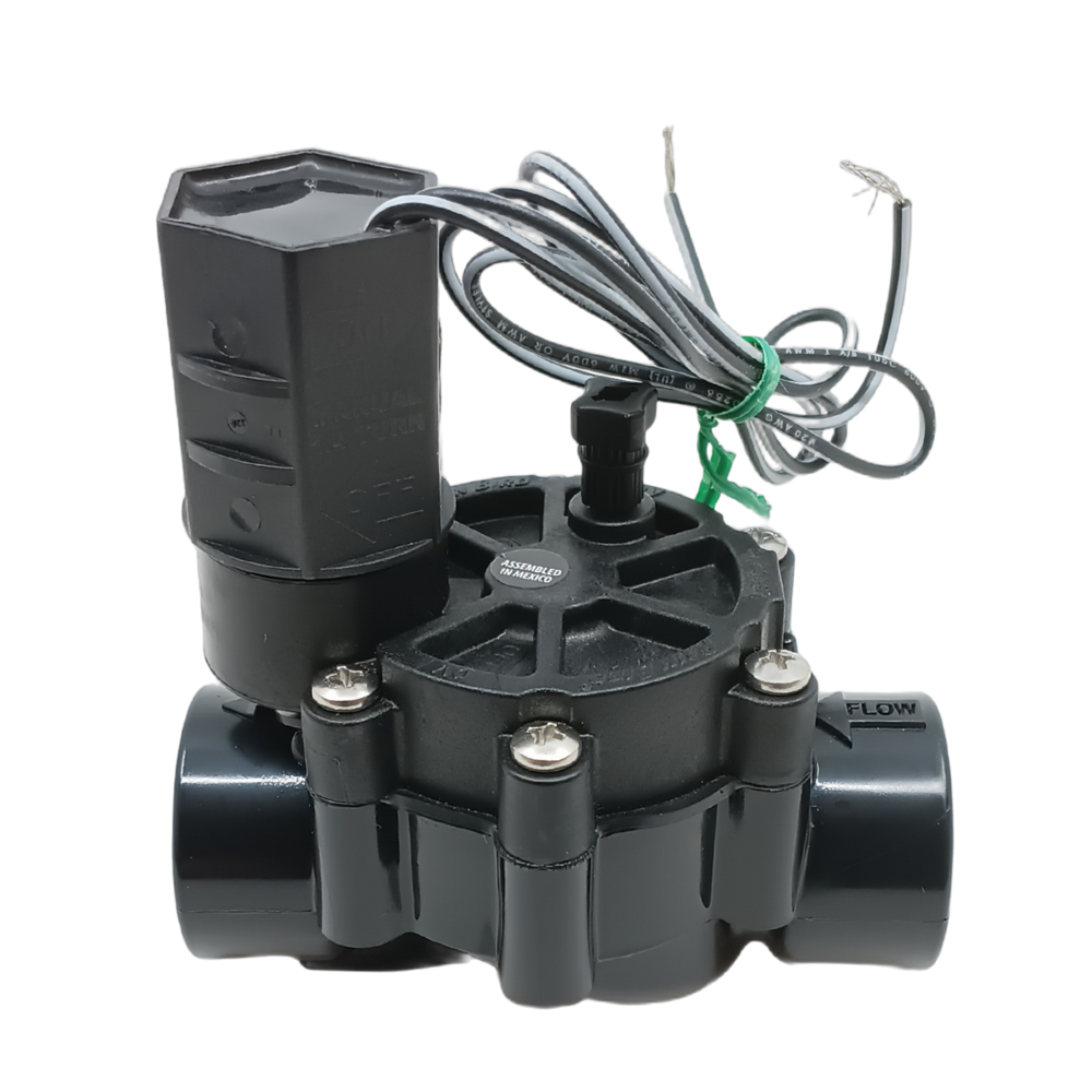 Electrovanne - Rain bird - 100 DV 1''FF 24V