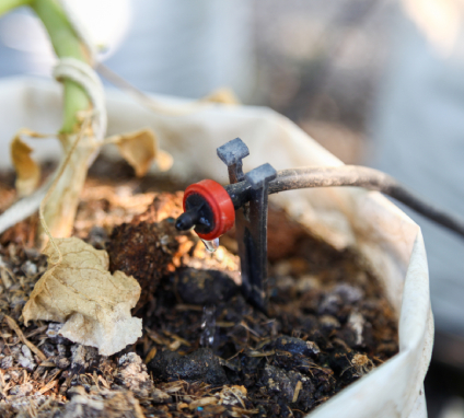 L’irrigation de précision au service de l’économie d’eau