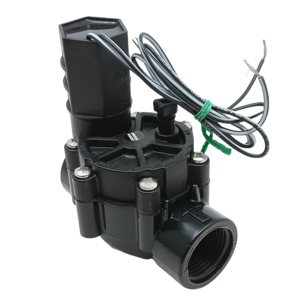 Electrovanne - Rain bird - 100 DV 1''FF 24V