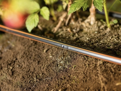 Découvrez nos bulletins conseils pour vos cultures