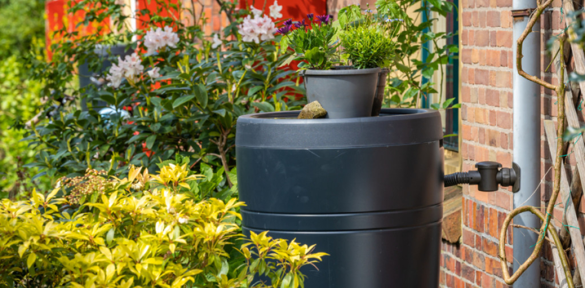 Comment choisir son récupérateur d’eau de pluie ?