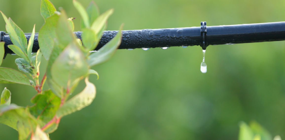 Conseils pour un arrosage éco-responsable