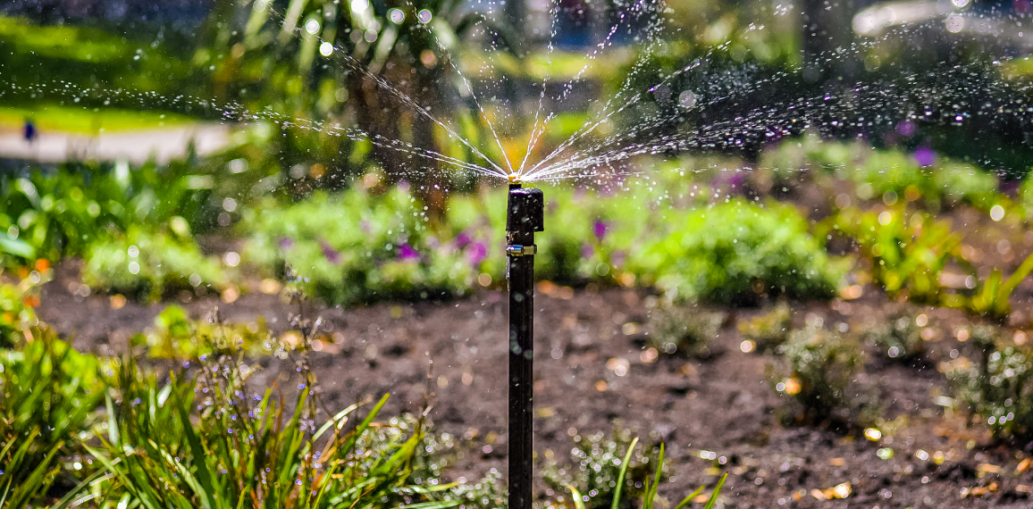 Bien choisir son système d’arrosage : le guide complet
